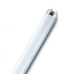 Лампа ЛЛ 40вт XL 40/640 Fa6 D38 взрывозащ.Osram